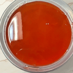 Best Sweet & Sour Sauce in Keene, NH